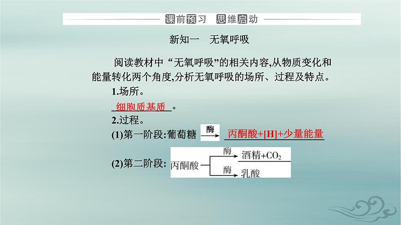 2023_2024学年新教材高中生物第5章细胞的能量供应和利用第3节细胞呼吸的原理和应用第2课时无氧呼吸及细胞呼吸原理的应用课件新人教版必修1第3页