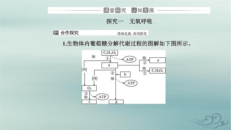 2023_2024学年新教材高中生物第5章细胞的能量供应和利用第3节细胞呼吸的原理和应用第2课时无氧呼吸及细胞呼吸原理的应用课件新人教版必修1第8页