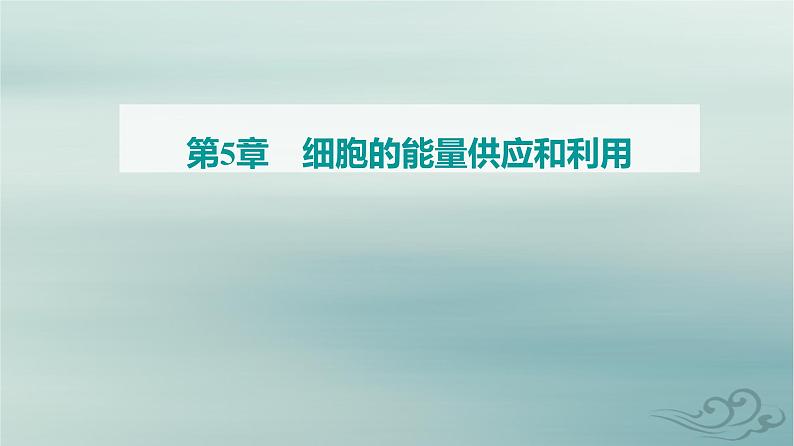 2023_2024学年新教材高中生物第5章细胞的能量供应和利用第4节光合作用与能量转化第1课时捕获光能的色素和结构课件新人教版必修101