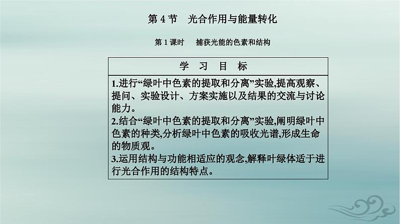2023_2024学年新教材高中生物第5章细胞的能量供应和利用第4节光合作用与能量转化第1课时捕获光能的色素和结构课件新人教版必修102