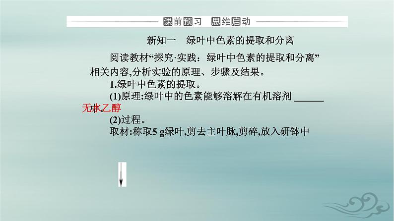 2023_2024学年新教材高中生物第5章细胞的能量供应和利用第4节光合作用与能量转化第1课时捕获光能的色素和结构课件新人教版必修103
