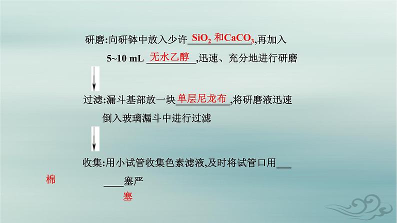 2023_2024学年新教材高中生物第5章细胞的能量供应和利用第4节光合作用与能量转化第1课时捕获光能的色素和结构课件新人教版必修104