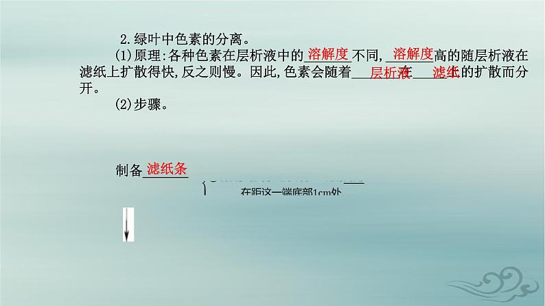 2023_2024学年新教材高中生物第5章细胞的能量供应和利用第4节光合作用与能量转化第1课时捕获光能的色素和结构课件新人教版必修105