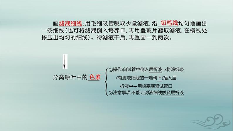 2023_2024学年新教材高中生物第5章细胞的能量供应和利用第4节光合作用与能量转化第1课时捕获光能的色素和结构课件新人教版必修106