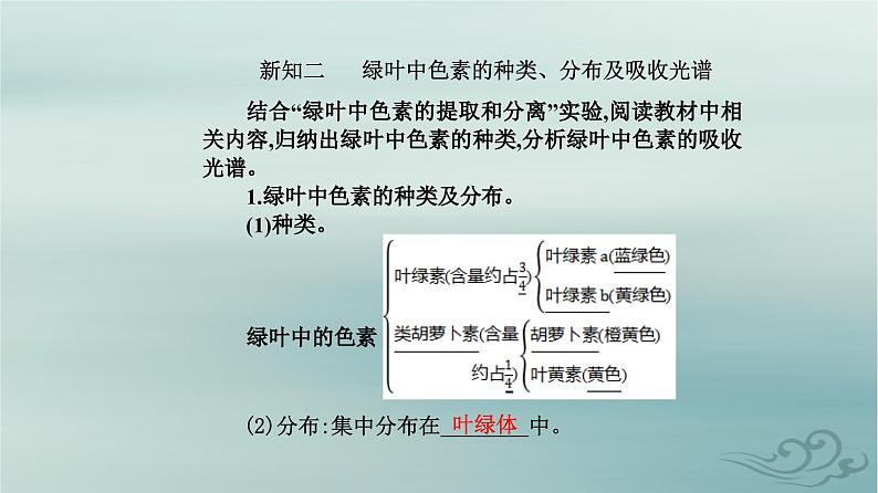 2023_2024学年新教材高中生物第5章细胞的能量供应和利用第4节光合作用与能量转化第1课时捕获光能的色素和结构课件新人教版必修108