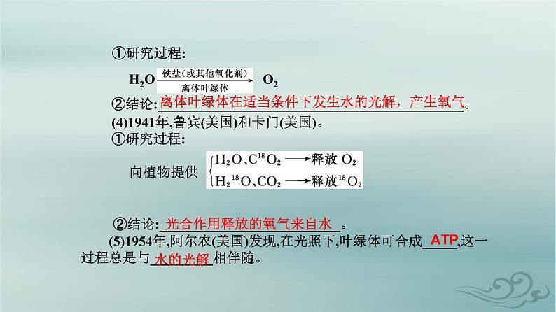 2023_2024学年新教材高中生物第5章细胞的能量供应和利用第4节光合作用与能量转化第2课时光合作用的原理和应用课件新人教版必修105