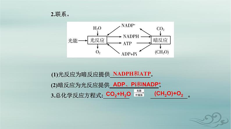 2023_2024学年新教材高中生物第5章细胞的能量供应和利用第4节光合作用与能量转化第2课时光合作用的原理和应用课件新人教版必修107