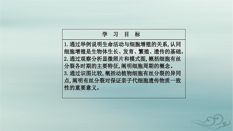 2023_2024学年新教材高中生物第6章细胞的生命历程第1节细胞的增殖课件新人教版必修102