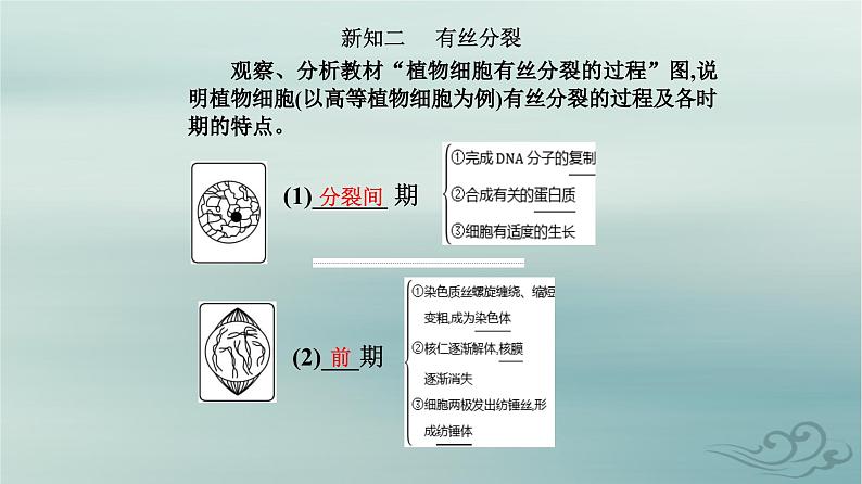 2023_2024学年新教材高中生物第6章细胞的生命历程第1节细胞的增殖课件新人教版必修106