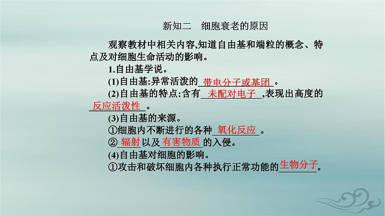 2023_2024学年新教材高中生物第6章细胞的生命历程第3节细胞的衰老和死亡课件新人教版必修1第5页