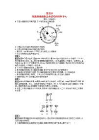 高中生物浙科版 (2019)必修1《分子与细胞》第四节 细胞核是细胞生命活动的控制中心测试题