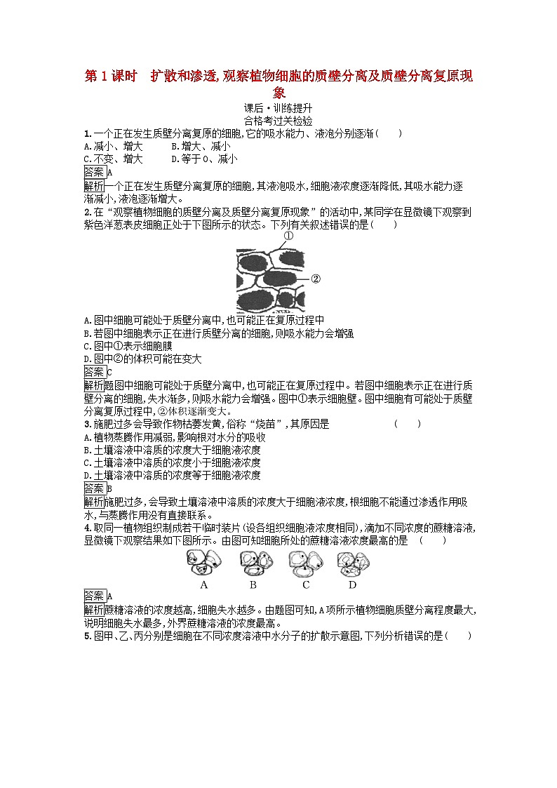 广西专版2023_2024学年新教材高中生物第3章细胞的代谢第3节物质通过多种方式出入细胞第1课时扩散和渗透观察植物细胞的质壁分离及质壁分离复原现象课后训练浙科版必修1第1页