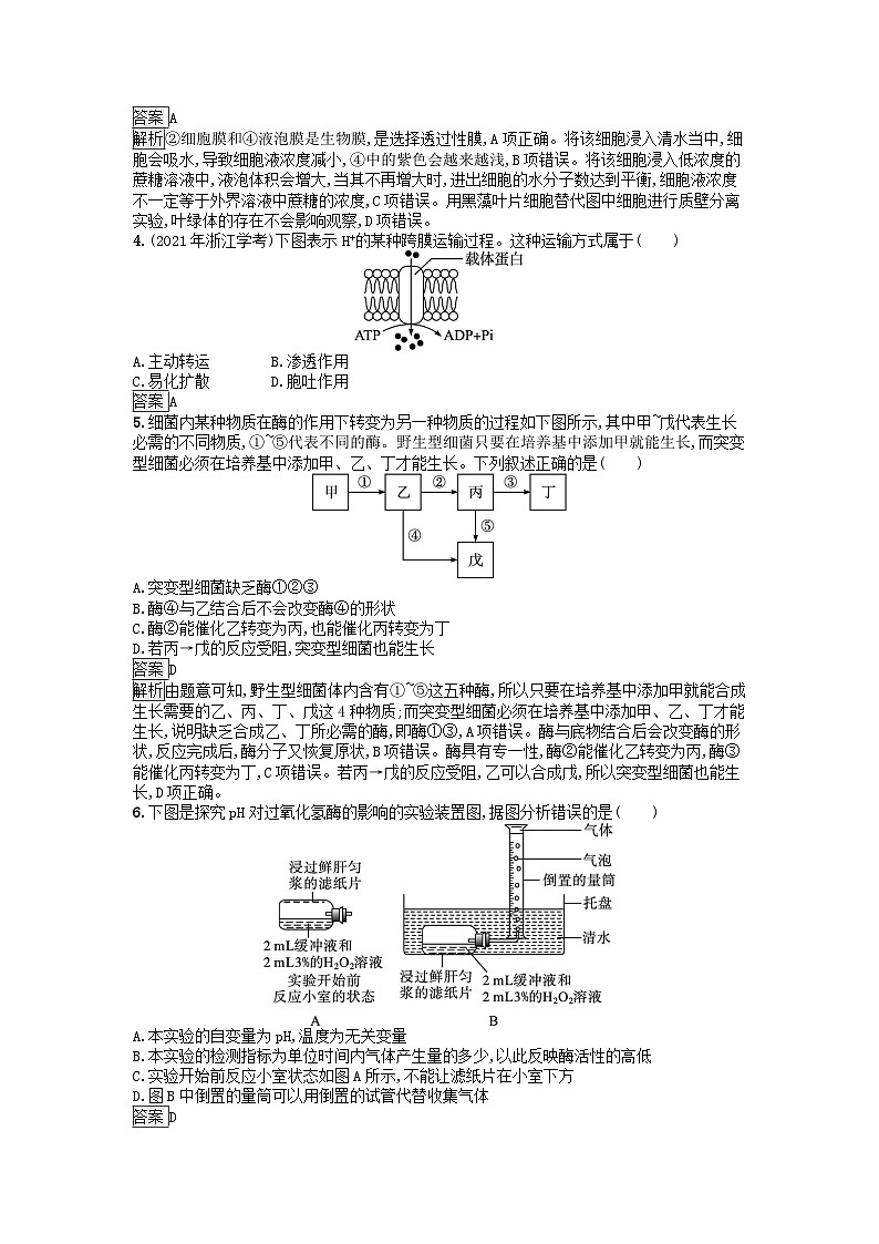 广西专版2023_2024学年新教材高中生物第3章细胞的代谢过关检测A卷浙科版必修102