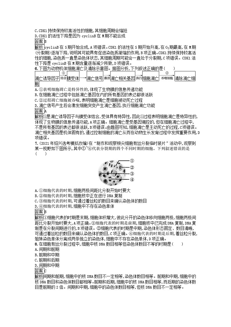 广西专版2023_2024学年新教材高中生物第4章细胞的生命历程过关检测B卷浙科版必修102