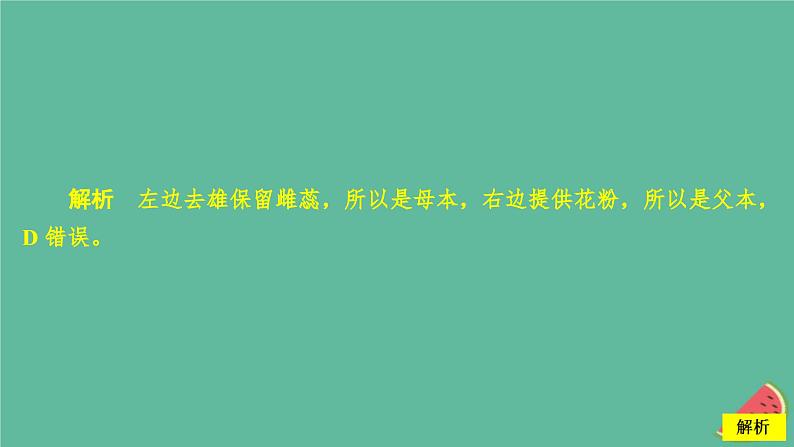 2023年新教材高中生物第1章遗传因子的发现水平测试课件新人教版必修205