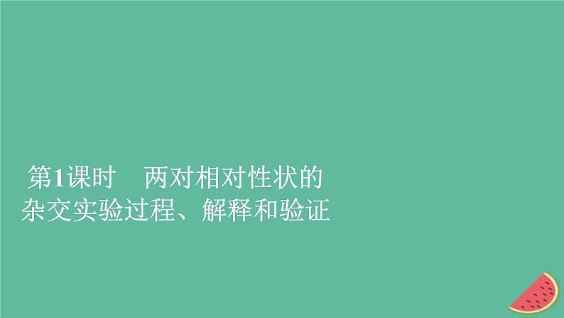 2023年新教材高中生物第1章遗传因子的发现第2节孟德尔的豌豆杂交实验二第1课时两对相对性状的杂交实验过程解释和验证课件新人教版必修2第1页