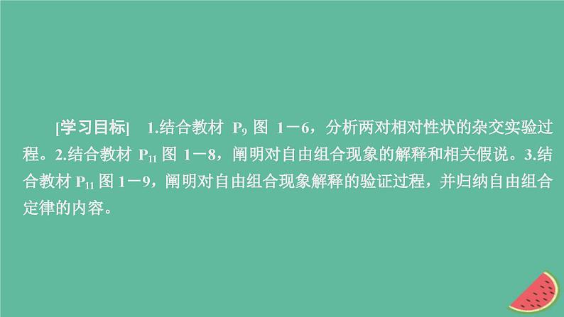 2023年新教材高中生物第1章遗传因子的发现第2节孟德尔的豌豆杂交实验二第1课时两对相对性状的杂交实验过程解释和验证课件新人教版必修2第2页