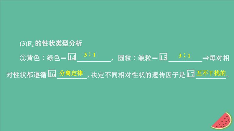 2023年新教材高中生物第1章遗传因子的发现第2节孟德尔的豌豆杂交实验二第1课时两对相对性状的杂交实验过程解释和验证课件新人教版必修2第6页