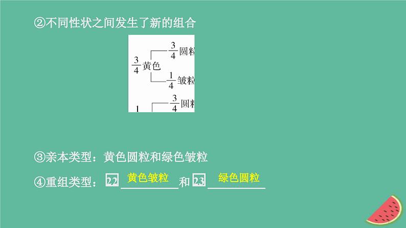 2023年新教材高中生物第1章遗传因子的发现第2节孟德尔的豌豆杂交实验二第1课时两对相对性状的杂交实验过程解释和验证课件新人教版必修2第7页