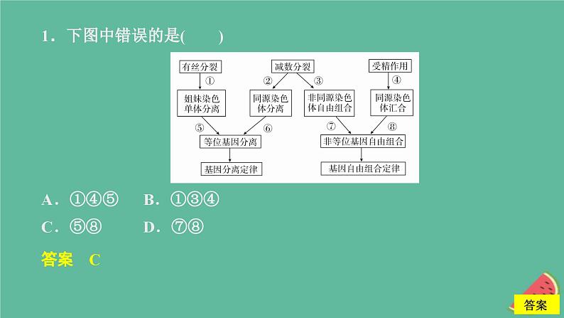 2023年新教材高中生物第2章基因和染色体的关系水平测试课件新人教版必修2第3页