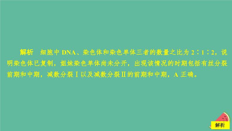 2023年新教材高中生物第2章基因和染色体的关系水平测试课件新人教版必修2第6页