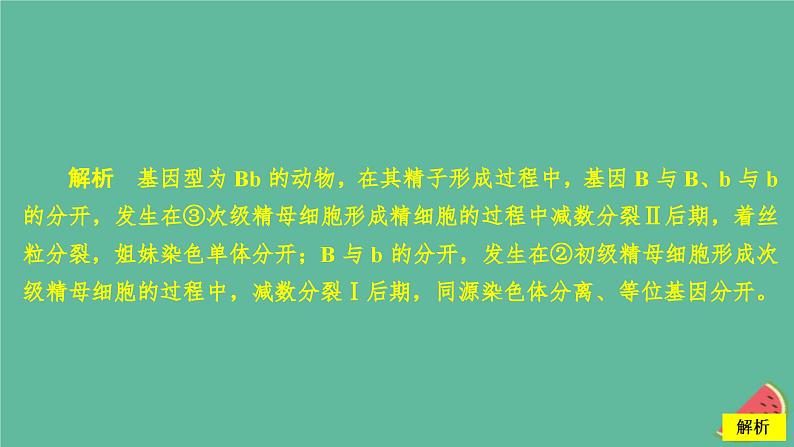 2023年新教材高中生物第2章基因和染色体的关系水平测试课件新人教版必修2第8页