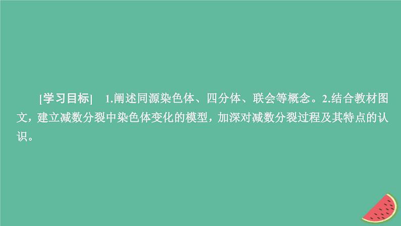 2023年新教材高中生物第2章基因和染色体的关系第1节减数分裂和受精作用第1课时精子的形成过程课件新人教版必修202