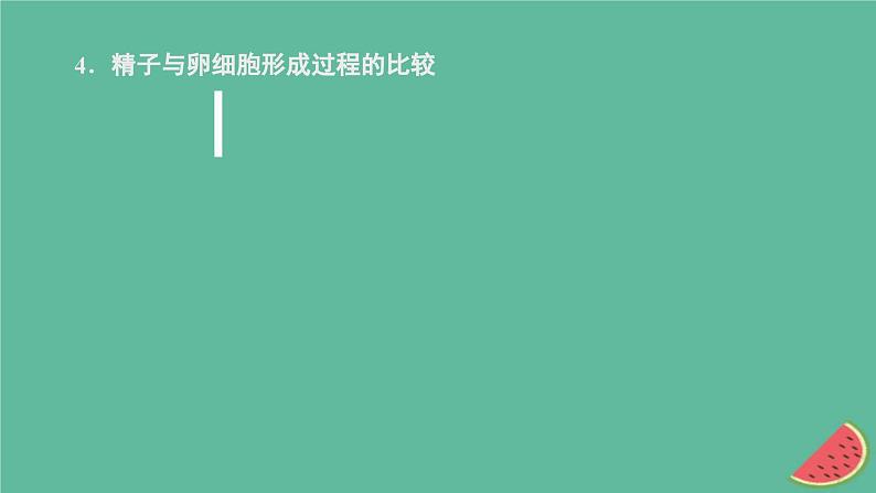 2023年新教材高中生物第2章基因和染色体的关系第1节减数分裂和受精作用第2课时卵细胞的形成过程减数分裂中染色体和DNA的变化规律课件新人教版必修207