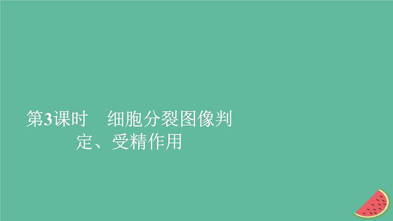 2023年新教材高中生物第2章基因和染色体的关系第1节减数分裂和受精作用第3课时细胞分裂图像判定受精作用课件新人教版必修201