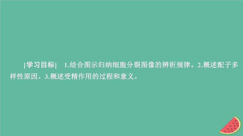 2023年新教材高中生物第2章基因和染色体的关系第1节减数分裂和受精作用第3课时细胞分裂图像判定受精作用课件新人教版必修202