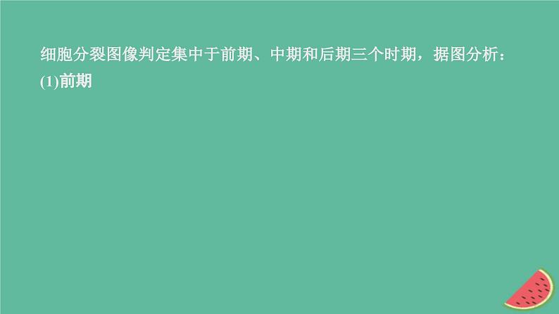 2023年新教材高中生物第2章基因和染色体的关系第1节减数分裂和受精作用第3课时细胞分裂图像判定受精作用课件新人教版必修204