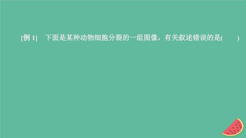 2023年新教材高中生物第2章基因和染色体的关系第1节减数分裂和受精作用第3课时细胞分裂图像判定受精作用课件新人教版必修207