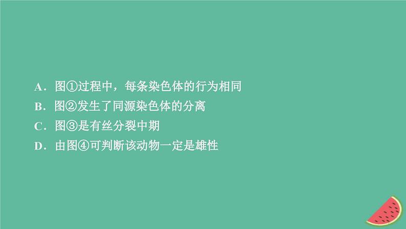 2023年新教材高中生物第2章基因和染色体的关系第1节减数分裂和受精作用第3课时细胞分裂图像判定受精作用课件新人教版必修208