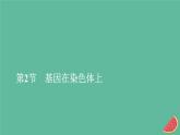 2023年新教材高中生物第2章基因和染色体的关系第2节基因在染色体上课件新人教版必修2