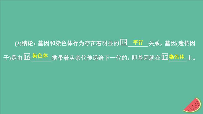 2023年新教材高中生物第2章基因和染色体的关系第2节基因在染色体上课件新人教版必修2第6页