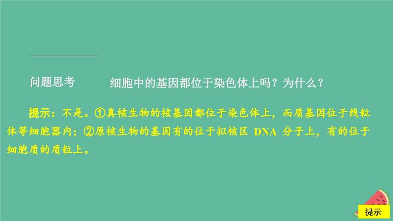 2023年新教材高中生物第2章基因和染色体的关系第2节基因在染色体上课件新人教版必修2第7页