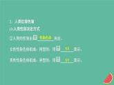 2023年新教材高中生物第2章基因和染色体的关系第3节伴性遗传课件新人教版必修2