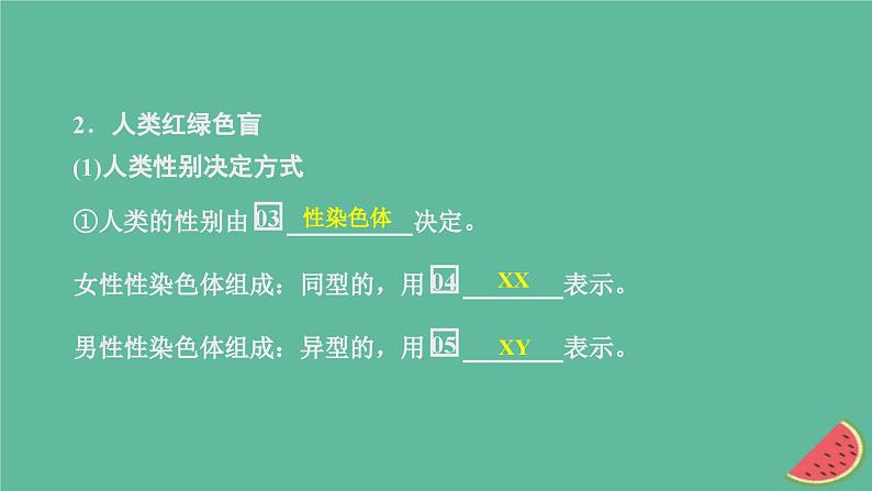 2023年新教材高中生物第2章基因和染色体的关系第3节伴性遗传课件新人教版必修2第5页