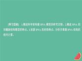 2023年新教材高中生物第3章基因的本质第2节DNA的结构课件新人教版必修2