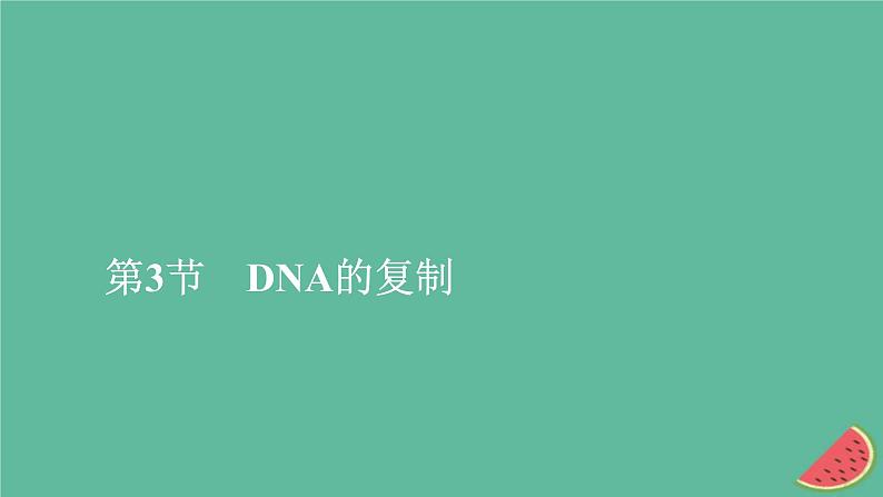 2023年新教材高中生物第3章基因的本质第3节DNA的复制课件新人教版必修2第1页