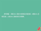 2023年新教材高中生物第3章基因的本质第3节DNA的复制课件新人教版必修2