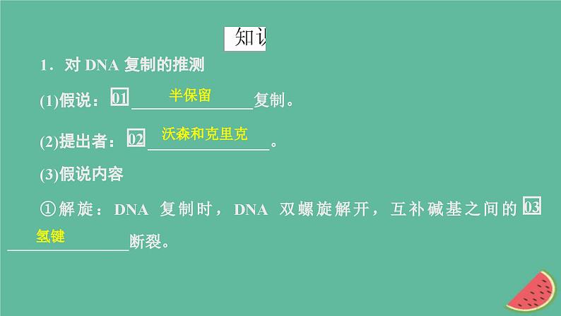 2023年新教材高中生物第3章基因的本质第3节DNA的复制课件新人教版必修2第4页