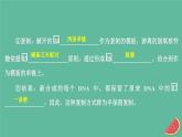 2023年新教材高中生物第3章基因的本质第3节DNA的复制课件新人教版必修2