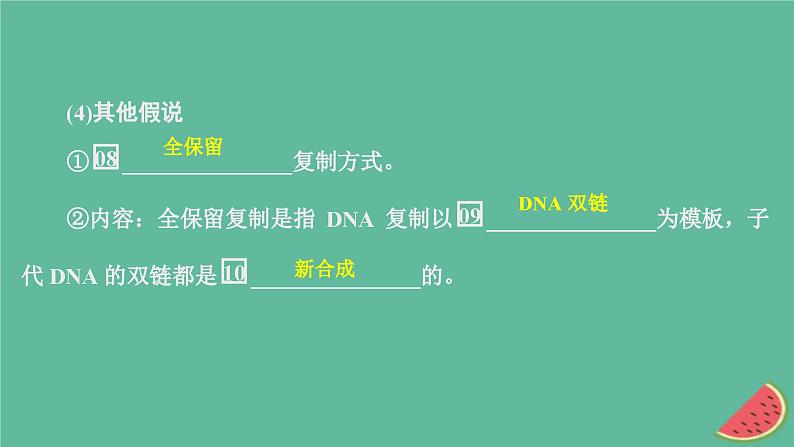 2023年新教材高中生物第3章基因的本质第3节DNA的复制课件新人教版必修2第6页