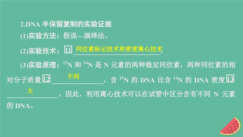 2023年新教材高中生物第3章基因的本质第3节DNA的复制课件新人教版必修2第8页