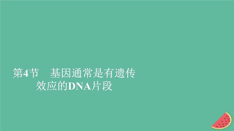 2023年新教材高中生物第3章基因的本质第4节基因通常是有遗传效应的DNA片段课件新人教版必修2第1页