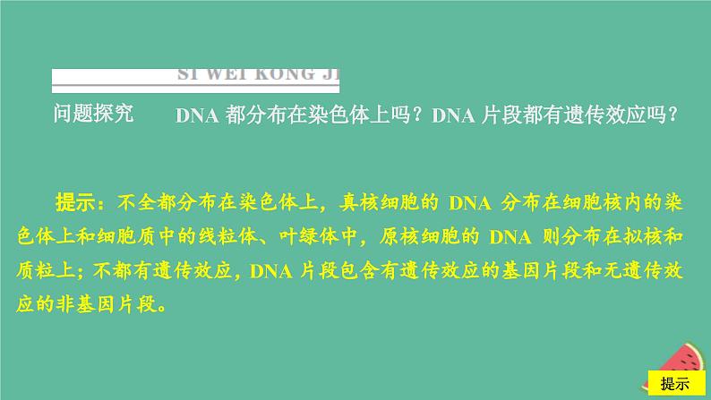 2023年新教材高中生物第3章基因的本质第4节基因通常是有遗传效应的DNA片段课件新人教版必修2第5页