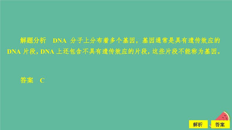 2023年新教材高中生物第3章基因的本质第4节基因通常是有遗传效应的DNA片段课件新人教版必修2第7页