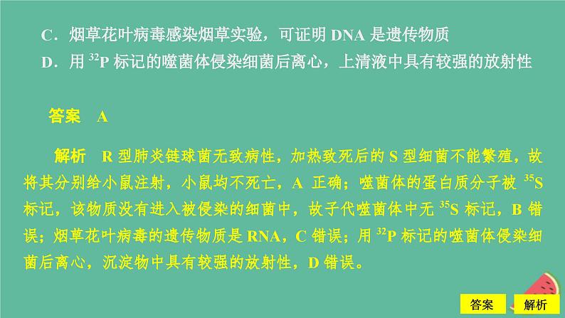 2023年新教材高中生物第3章基因的本质第4章基因的表达水平测试课件新人教版必修2第3页