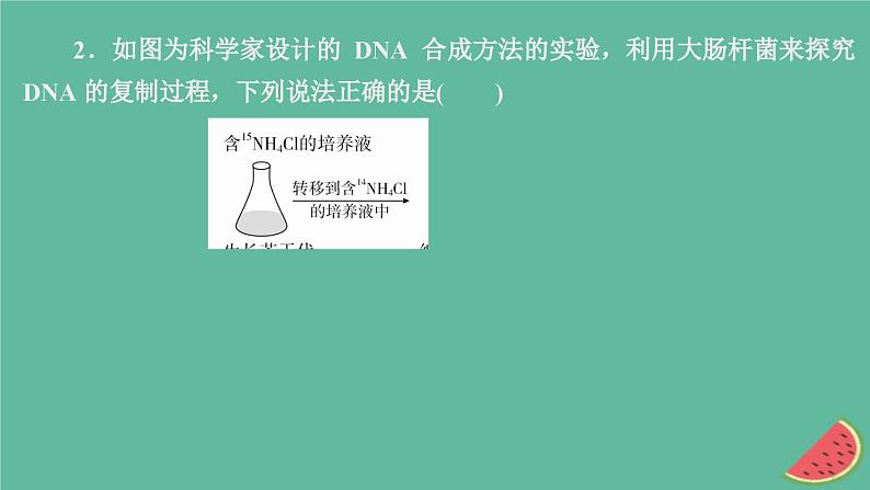 2023年新教材高中生物第3章基因的本质第4章基因的表达水平测试课件新人教版必修2第4页